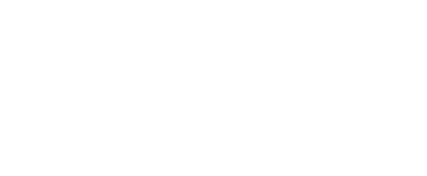 Propiedades Boston